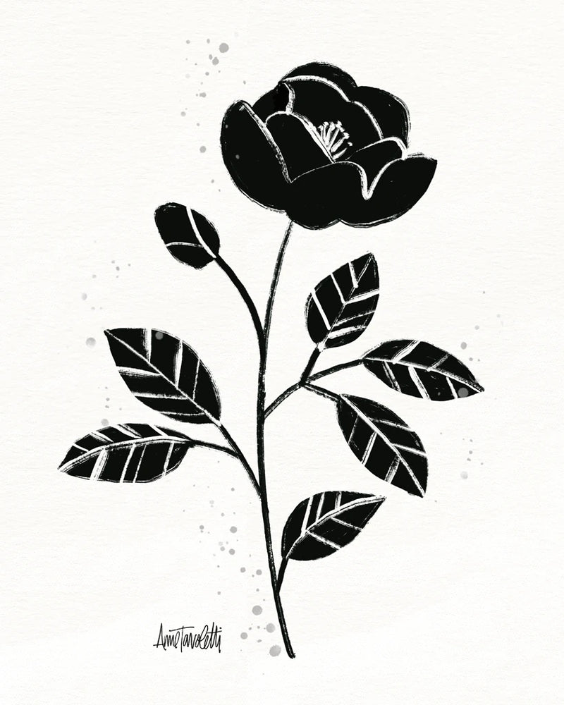 Bold Blooms II by Anne Tavoletti