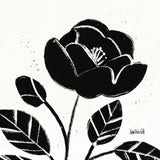 Bold Blooms VI by Anne Tavoletti. SKU 75201a. Archival Giclee Fine art print for wall decor.