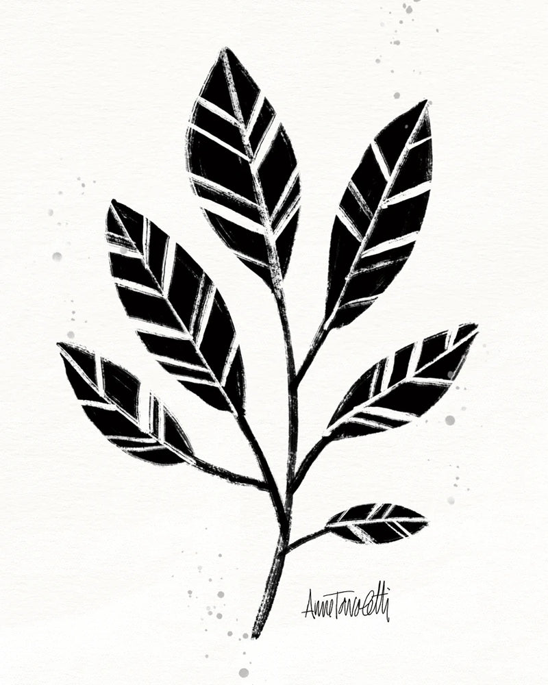 Botanical Sketches III by Anne Tavoletti