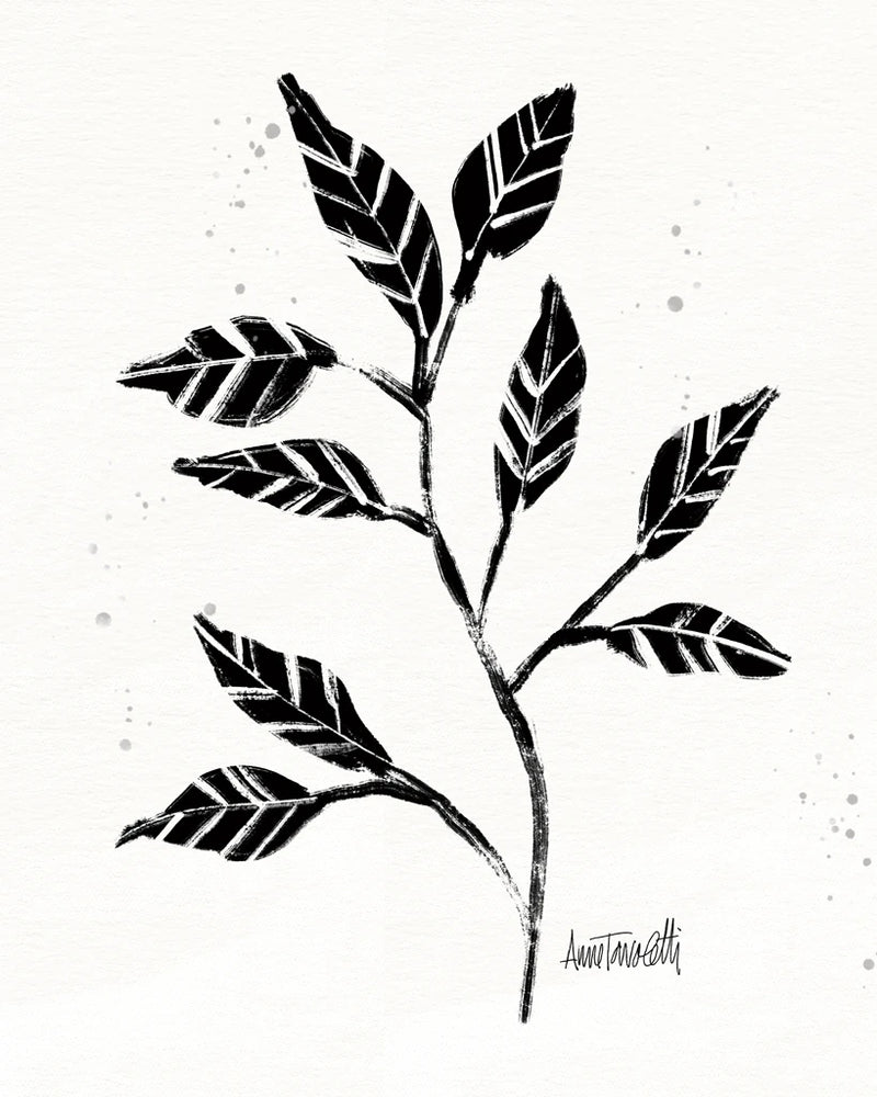 Botanical Sketches V by Anne Tavoletti