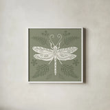 Bugs And Botanicals V by Anne Tavoletti. Shown in a crisp white glass frame for a clean and minimalist style. Available as an archival giclee rolled canvas, fine art paper, or poster print. SKU 93827a.