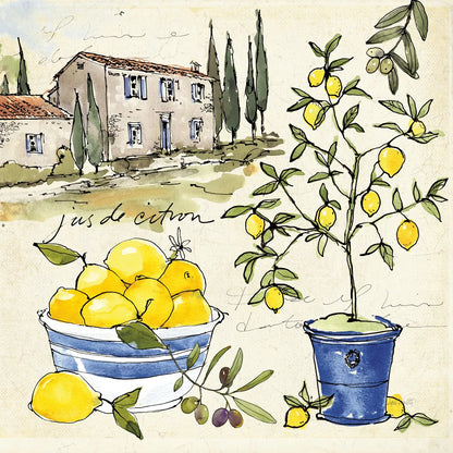 Citron III by Anne Tavoletti. SKU 20546a. Archival Giclee Fine art print for wall decor.