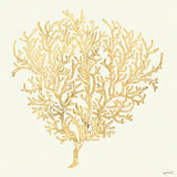 Coastal Breeze Shell Sketches I by Anne Tavoletti. SKU 22646a. Archival Giclee Fine art print for wall decor.