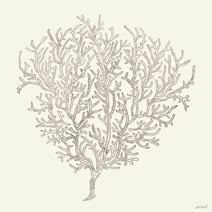 Coastal Breeze Shell Sketches I Silver by Anne Tavoletti. SKU 63505a. Archival Giclee Fine art print for wall decor.