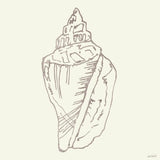 Coastal Breeze Shell Sketches III Silver by Anne Tavoletti. SKU 63507a. Archival Giclee Fine art print for wall decor.