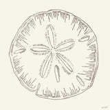 Coastal Breeze Shell Sketches IV Silver by Anne Tavoletti. SKU 63508a. Archival Giclee Fine art print for wall decor.