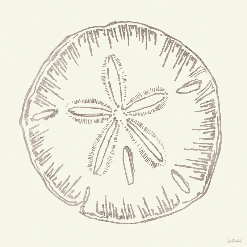 Coastal Breeze Shell Sketches IV Silver by Anne Tavoletti. SKU 63508a. Archival Giclee Fine art print for wall decor.