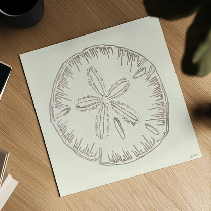 Coastal Breeze Shell Sketches IV Silver by Anne Tavoletti. Shown as a detailed flat fine art print, highlighting archival giclee quality. Available as an archival giclee rolled canvas, fine art paper, or poster print. SKU 63508a.