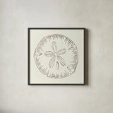 Coastal Breeze Shell Sketches IV Silver by Anne Tavoletti. Shown in a sleek black glass frame for a contemporary gallery look. Available as an archival giclee rolled canvas, fine art paper, or poster print. SKU 63508a.