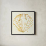 Coastal Breeze Shell Sketches V by Anne Tavoletti. Shown in a sleek black glass frame for a contemporary gallery look. Available as an archival giclee rolled canvas, fine art paper, or poster print. SKU 22650a.
