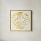 Coastal Breeze Shell Sketches V by Anne Tavoletti. Shown in a natural wood glass frame for a timeless modern aesthetic. Available as an archival giclee rolled canvas, fine art paper, or poster print. SKU 22650a.