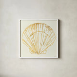 Coastal Breeze Shell Sketches V by Anne Tavoletti. Shown in a crisp white glass frame for a clean and minimalist style. Available as an archival giclee rolled canvas, fine art paper, or poster print. SKU 22650a.