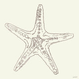 Coastal Breeze Shell Sketches VI Silver by Anne Tavoletti. SKU 63510a. Archival Giclee Fine art print for wall decor.
