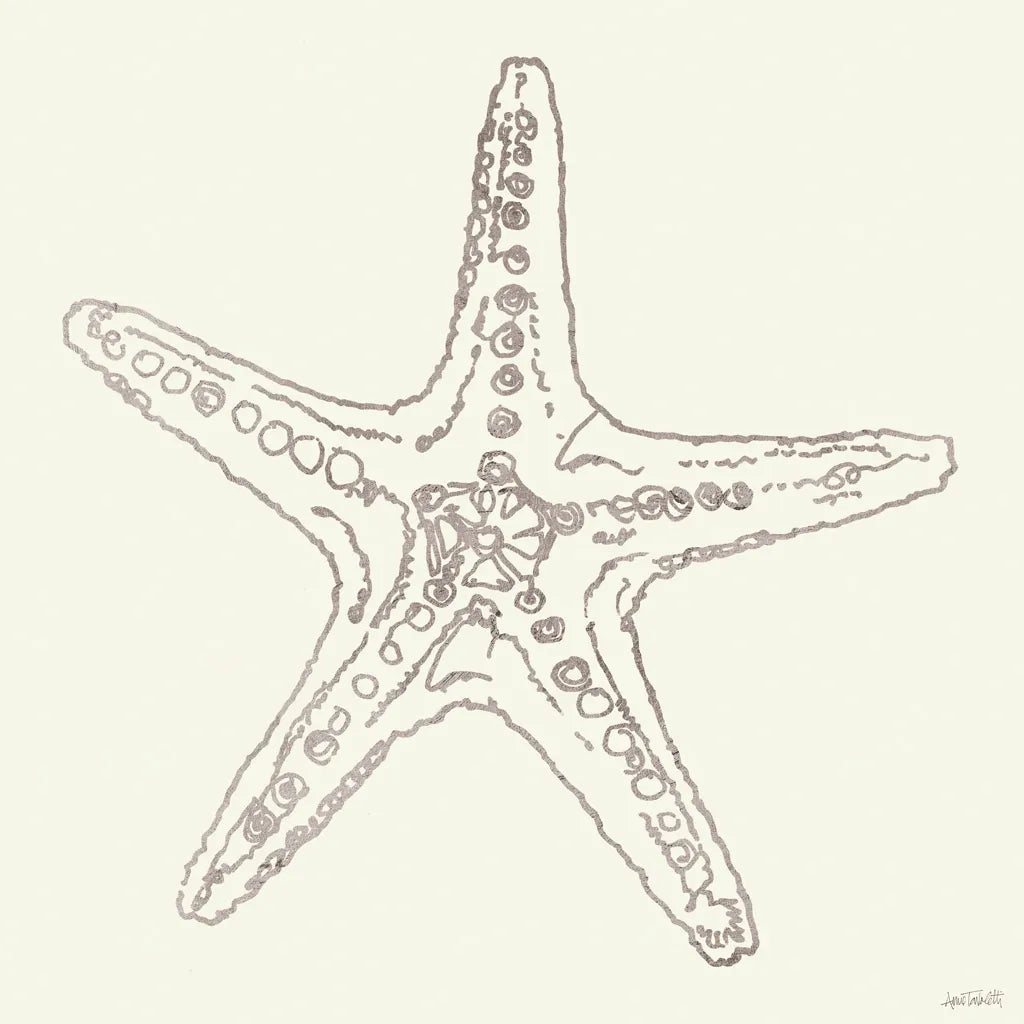 Coastal Breeze Shell Sketches VI Silver by Anne Tavoletti. SKU 63510a. Archival Giclee Fine art print for wall decor.