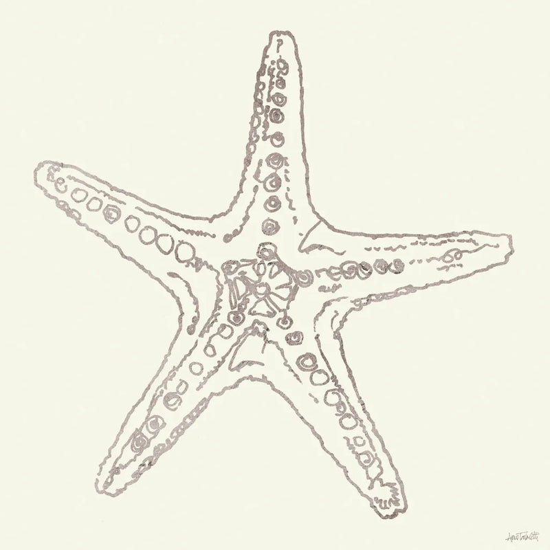 Coastal Breeze Shell Sketches VI Silver by Anne Tavoletti. SKU 63510a. Archival Giclee Fine art print for wall decor.