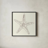 Coastal Breeze Shell Sketches VI Silver by Anne Tavoletti. Shown in a sleek black glass frame for a contemporary gallery look. Available as an archival giclee rolled canvas, fine art paper, or poster print. SKU 63510a.