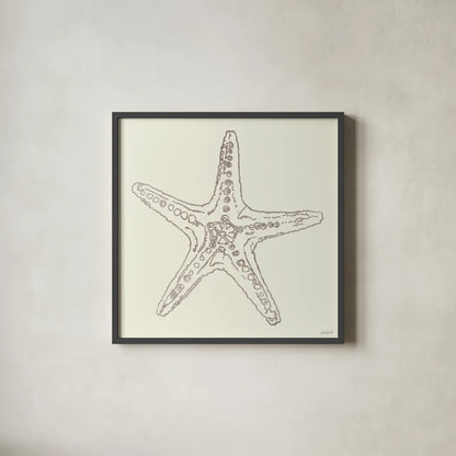 Coastal Breeze Shell Sketches VI Silver by Anne Tavoletti. Shown in a sleek black glass frame for a contemporary gallery look. Available as an archival giclee rolled canvas, fine art paper, or poster print. SKU 63510a.