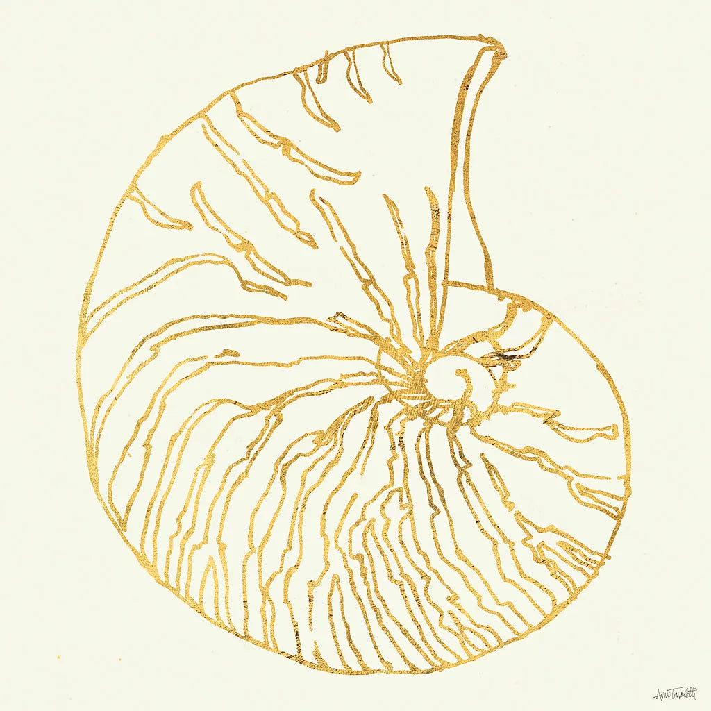 Coastal Breeze Shell Sketches VII by Anne Tavoletti. SKU 22652a. Archival Giclee Fine art print for wall decor.