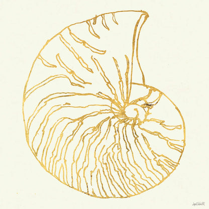 Coastal Breeze Shell Sketches VII by Anne Tavoletti. SKU 22652a. Archival Giclee Fine art print for wall decor.