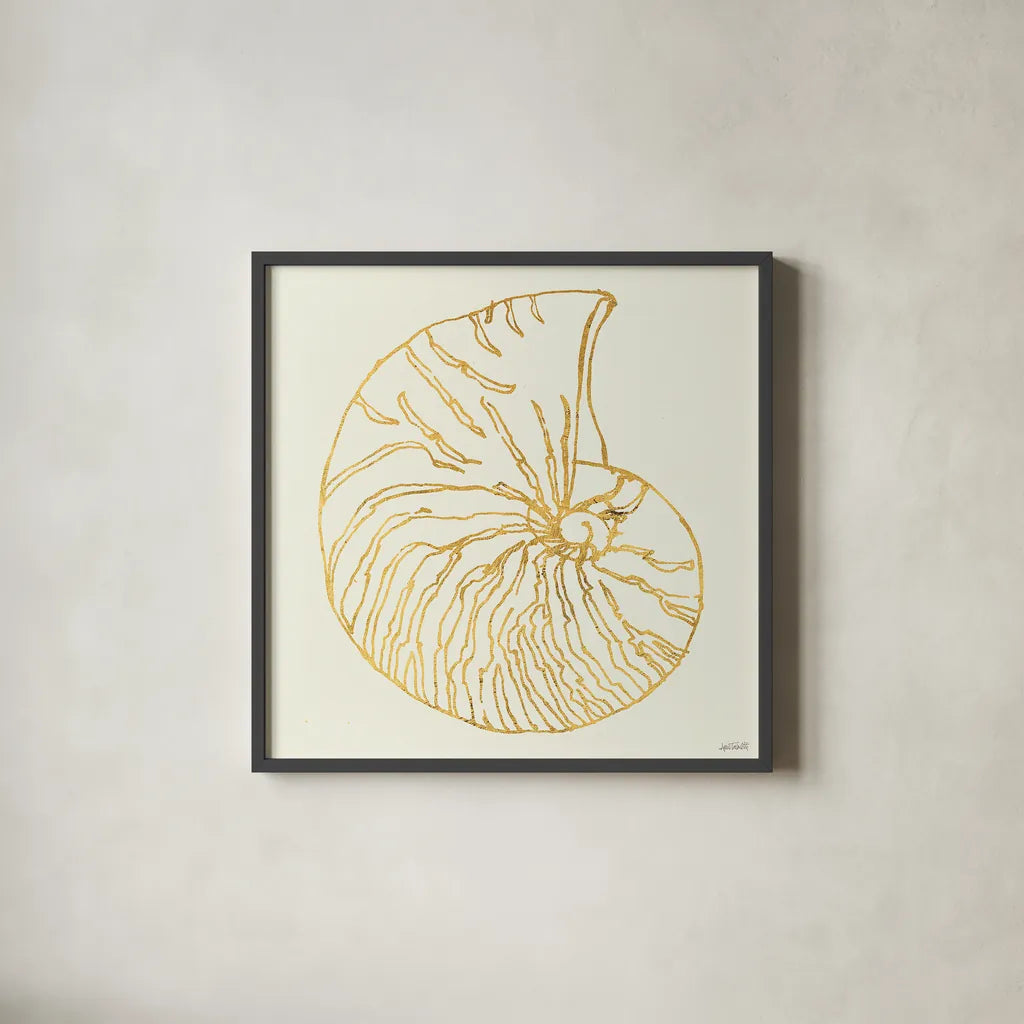 Coastal Breeze Shell Sketches VII by Anne Tavoletti. Shown in a sleek black glass frame for a contemporary gallery look. Available as an archival giclee rolled canvas, fine art paper, or poster print. SKU 22652a.