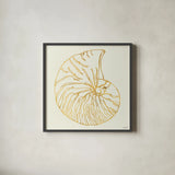 Coastal Breeze Shell Sketches VII by Anne Tavoletti. Shown in a sleek black glass frame for a contemporary gallery look. Available as an archival giclee rolled canvas, fine art paper, or poster print. SKU 22652a.