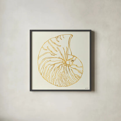 Coastal Breeze Shell Sketches VII by Anne Tavoletti. Shown in a sleek black glass frame for a contemporary gallery look. Available as an archival giclee rolled canvas, fine art paper, or poster print. SKU 22652a.