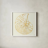 Coastal Breeze Shell Sketches VII by Anne Tavoletti. Shown in a crisp white glass frame for a clean and minimalist style. Available as an archival giclee rolled canvas, fine art paper, or poster print. SKU 22652a.