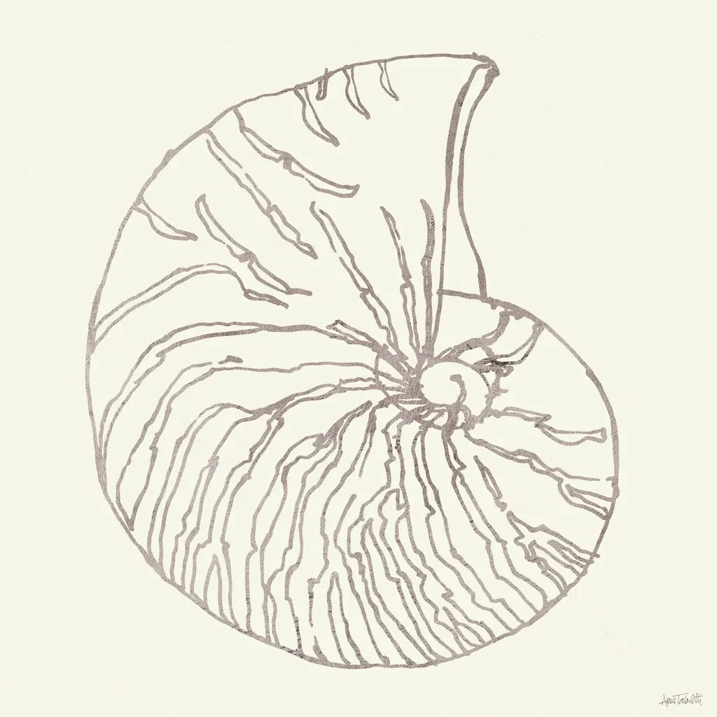 Coastal Breeze Shell Sketches VII Silver by Anne Tavoletti. SKU 63511a. Archival Giclee Fine art print for wall decor.