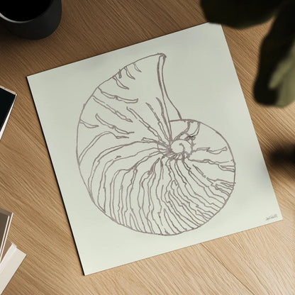 Coastal Breeze Shell Sketches VII Silver by Anne Tavoletti. Shown as a detailed flat fine art print, highlighting archival giclee quality. Available as an archival giclee rolled canvas, fine art paper, or poster print. SKU 63511a.