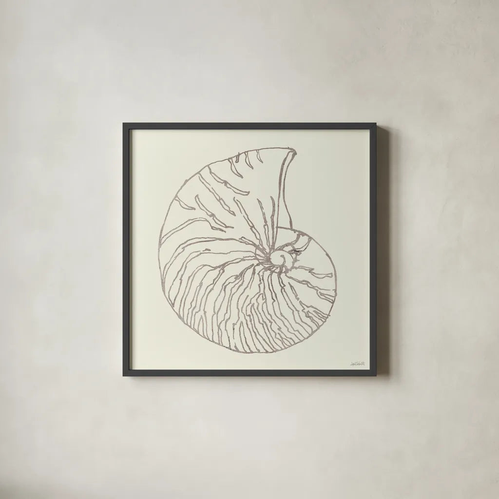 Coastal Breeze Shell Sketches VII Silver by Anne Tavoletti. Shown in a sleek black glass frame for a contemporary gallery look. Available as an archival giclee rolled canvas, fine art paper, or poster print. SKU 63511a.
