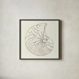 Coastal Breeze Shell Sketches VII Silver by Anne Tavoletti. Shown in a sleek black glass frame for a contemporary gallery look. Available as an archival giclee rolled canvas, fine art paper, or poster print. SKU 63511a.