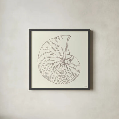 Coastal Breeze Shell Sketches VII Silver by Anne Tavoletti. Shown in a sleek black glass frame for a contemporary gallery look. Available as an archival giclee rolled canvas, fine art paper, or poster print. SKU 63511a.