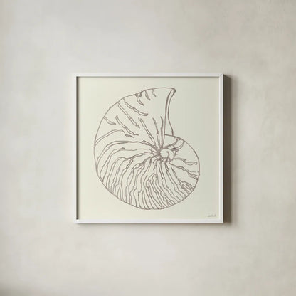 Coastal Breeze Shell Sketches VII Silver by Anne Tavoletti. Shown in a crisp white glass frame for a clean and minimalist style. Available as an archival giclee rolled canvas, fine art paper, or poster print. SKU 63511a.
