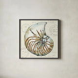 Coastal Breeze V by Anne Tavoletti. Shown in a sleek black glass frame for a contemporary gallery look. Available as an archival giclee rolled canvas, fine art paper, or poster print. SKU 20656a.