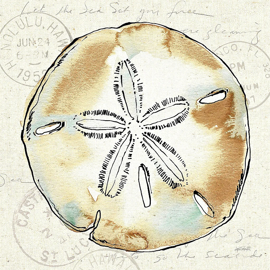 Coastal Breeze VI by Anne Tavoletti. SKU 20657a. Archival Giclee Fine art print for wall decor.