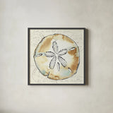 Coastal Breeze VI by Anne Tavoletti. Shown in a sleek black glass frame for a contemporary gallery look. Available as an archival giclee rolled canvas, fine art paper, or poster print. SKU 20657a.