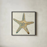 Coastal Breeze VIII by Anne Tavoletti. Shown in a sleek black glass frame for a contemporary gallery look. Available as an archival giclee rolled canvas, fine art paper, or poster print. SKU 20659a.