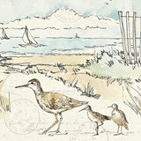 Coastal Breeze XII by Anne Tavoletti. SKU 20667a. Archival Giclee Fine art print for wall decor.