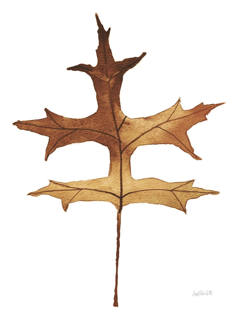 Colors of the Fall I Brown by Anne Tavoletti