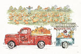 Country Harvest II by Anne Tavoletti. SKU 73547i. Archival Giclee Fine art print for wall decor.