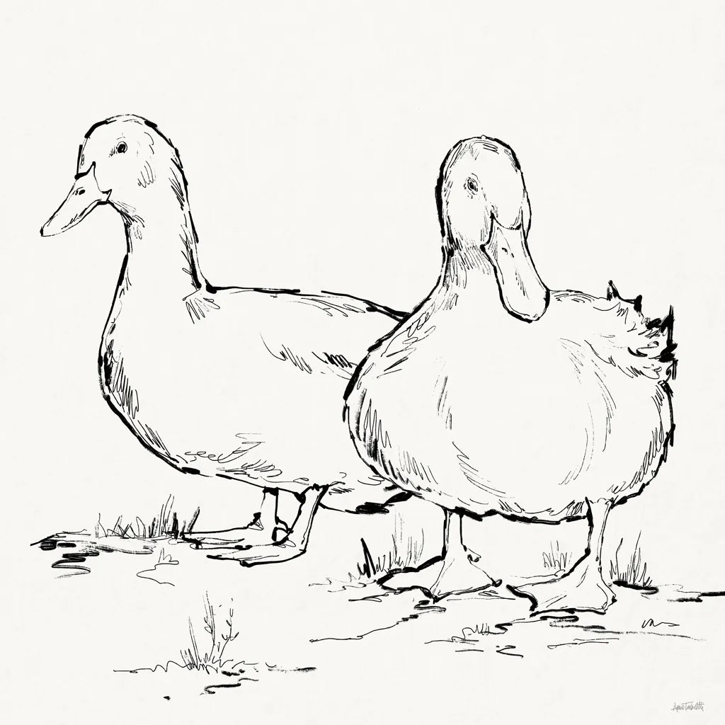 Duck Delight I by Anne Tavoletti. SKU 86410a. Archival Giclee Fine art print for wall decor.