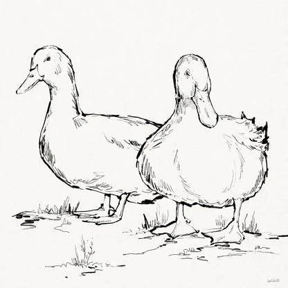 Duck Delight I by Anne Tavoletti. SKU 86410a. Archival Giclee Fine art print for wall decor.