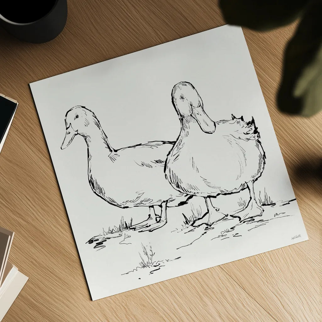 Duck Delight I by Anne Tavoletti. Shown as a detailed flat fine art print, highlighting archival giclee quality. Available as an archival giclee rolled canvas, fine art paper, or poster print. SKU 86410a.