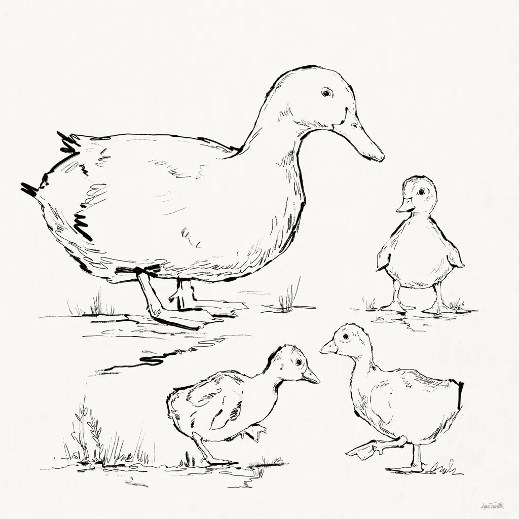 Duck Delight II by Anne Tavoletti. SKU 86411a. Archival Giclee Fine art print for wall decor.
