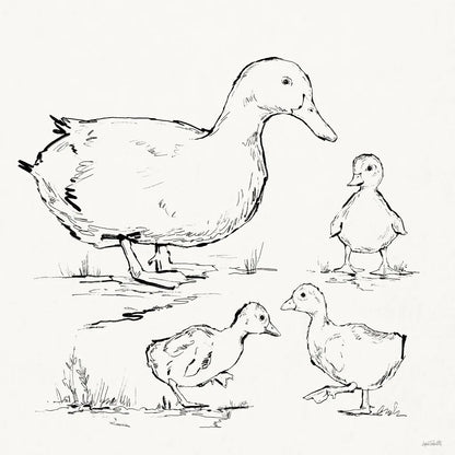 Duck Delight II by Anne Tavoletti. SKU 86411a. Archival Giclee Fine art print for wall decor.