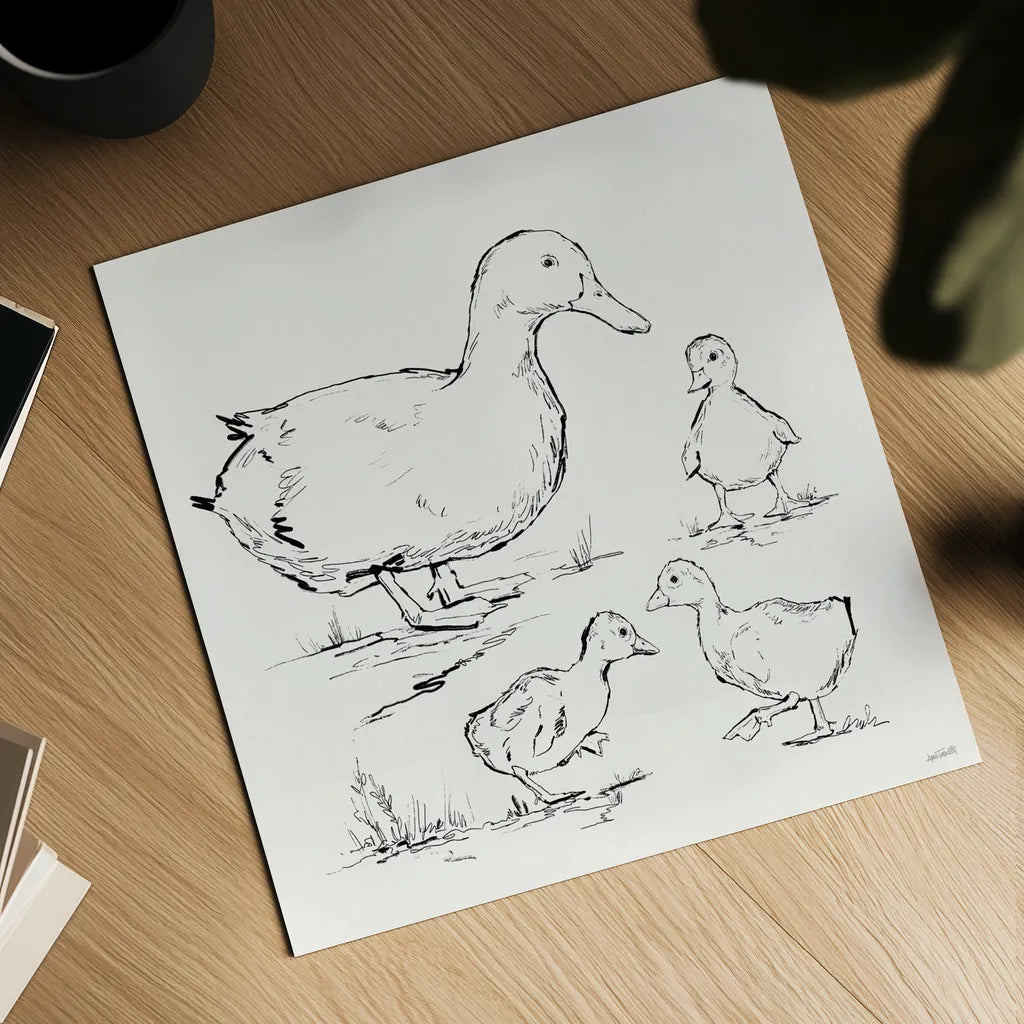 Duck Delight II by Anne Tavoletti. Shown as a detailed flat fine art print, highlighting archival giclee quality. Available as an archival giclee rolled canvas, fine art paper, or poster print. SKU 86411a.