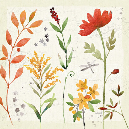 Fall Blooms II by Anne Tavoletti. SKU 17749a. Archival Giclee Fine art print for wall decor.