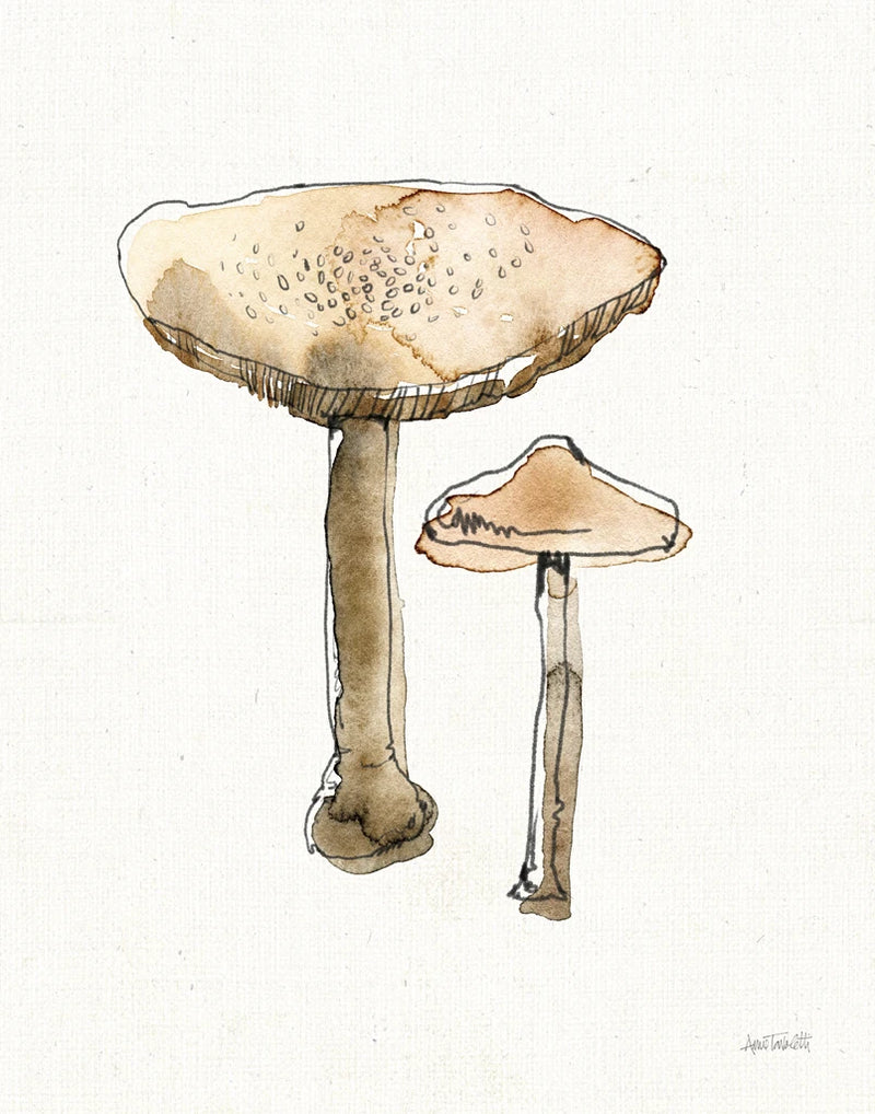 Fresh Farmhouse Mushrooms II by Anne Tavoletti