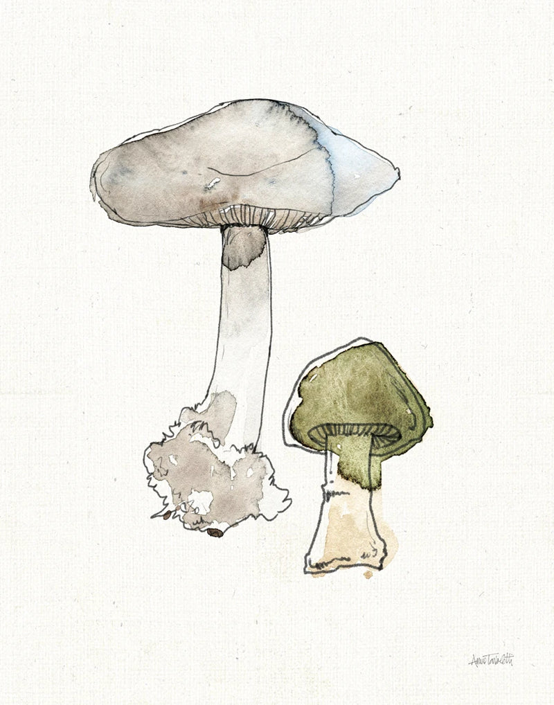 Fresh Farmhouse Mushrooms III by Anne Tavoletti