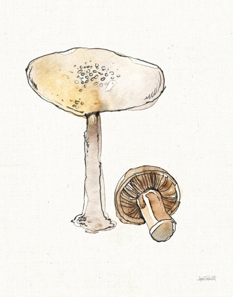 Fresh Farmhouse Mushrooms IV by Anne Tavoletti